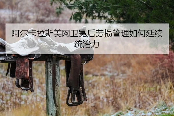 a-er-ka-la-si-mei-wang-wei-mian-hou-lao-sun-guan-li-ru-he-yan-xu-tong-zhi-li-2-596.jpg