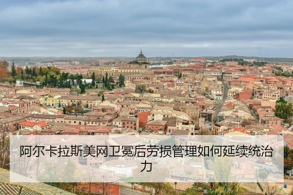 a-er-ka-la-si-mei-wang-wei-mian-hou-lao-sun-guan-li-ru-he-yan-xu-tong-zhi-li-3-183.jpg